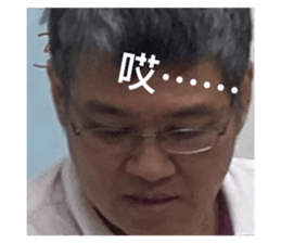 713556026
