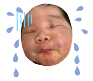 713556144
