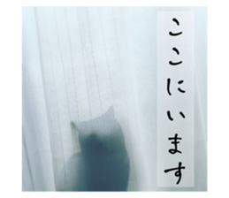 713559080