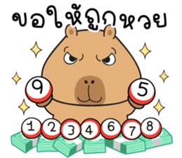 713563678
