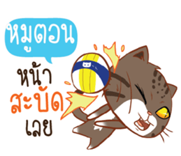 713590041