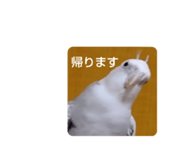 713607684
