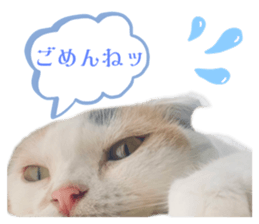 713609243
