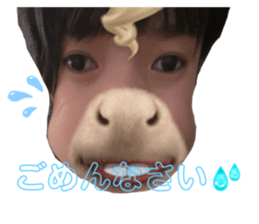 713672238