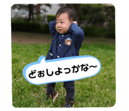 713687815
