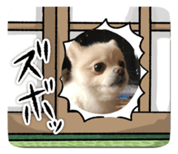 713695425