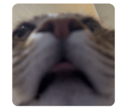 713697891