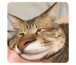 713697900