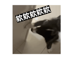 713698930