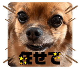 713709605