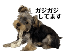 713744132