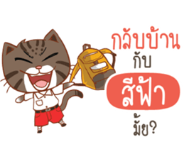 713747617
