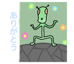 713755959
