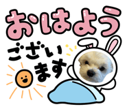 713756265