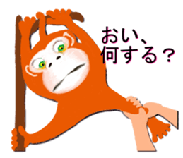 7137877