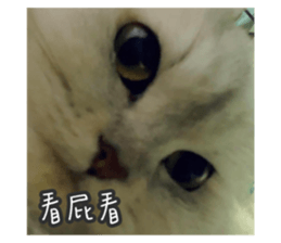 713790783