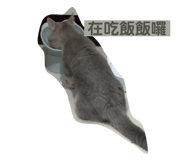 713797286