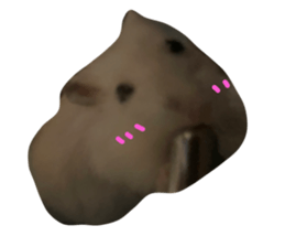713813643