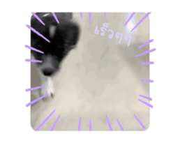 713816524