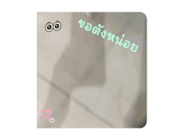 713816527