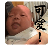 713827597