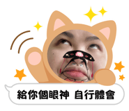 713855605