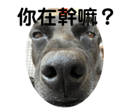 713856305