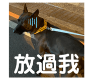 713856326
