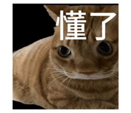 713864360