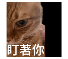 713864363