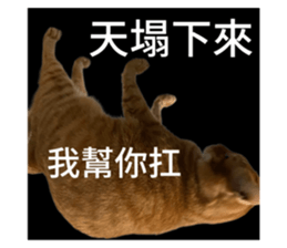 713864364