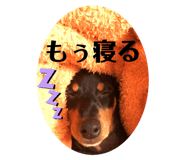 713873167