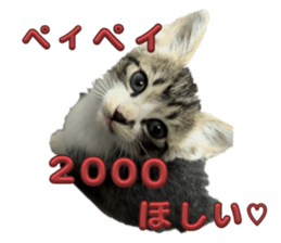 714001899