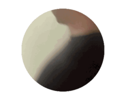 714038097