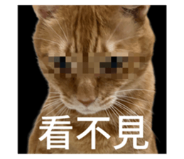 714045266