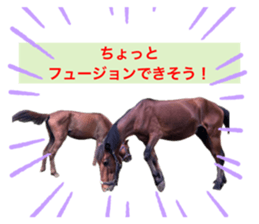 714058216