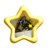 714090098