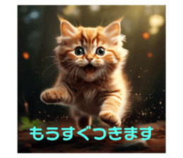 714106231