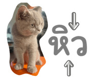 714111599
