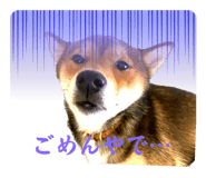 714234060