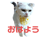 714234063