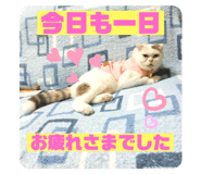 714234071
