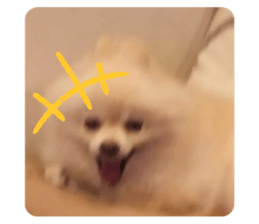 714293554
