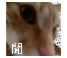 714309170