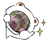 714341902