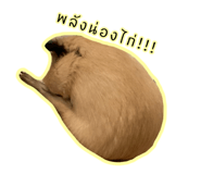 714346436