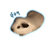 714346438