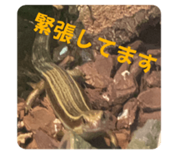 714350686