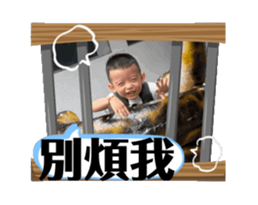 714389426
