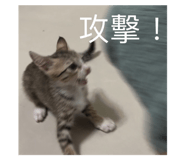 714414714